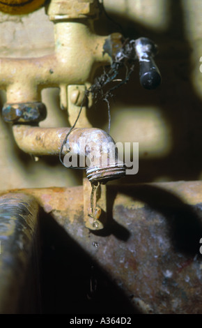 Wasser tropft aus alten Wasserhahn Sanitär Stockfoto