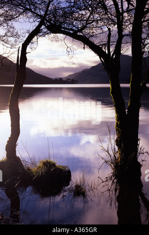 Sunrise, Loch Eck. Stockfoto