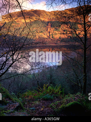 Blick auf Loch Eck aus der Papier-Höhle auf Clach Bheinn Stockfoto