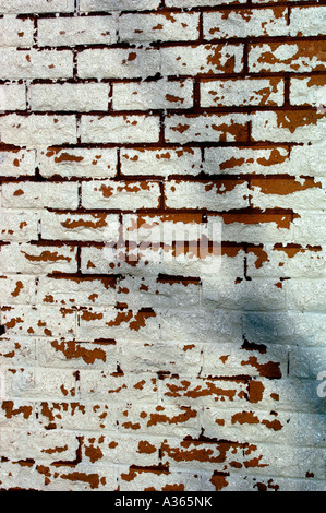 Abblätternde Farbe kommen aus einem weiß getünchten Mauer. Stockfoto