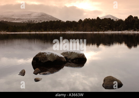 Abendlicht am Loch Morlich Glenmore, Aviemore, Strathspey. Schottischen Highlands.  XPL 4522-427 Stockfoto
