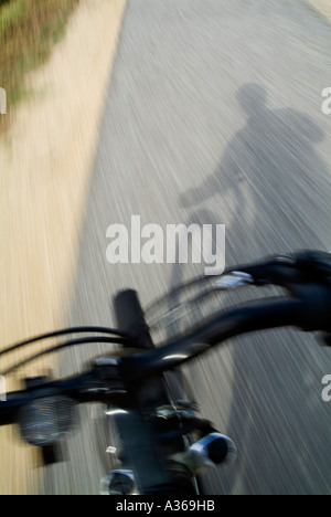 Schatten eines Bikers, Reiten auf einem Radweg durch den Wald des Landes in Frankreich Aquitanien Stockfoto