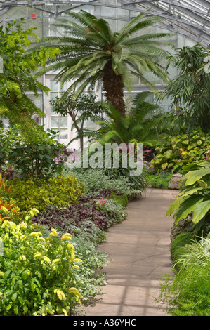 Allan Gardens Conservatory, Toronto, Ontario, Kanada. Das Palmenhaus. Stockfoto