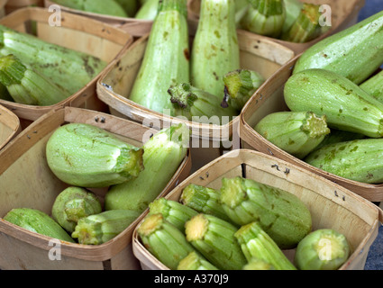 Zucchini in Körben. Markt-Stand Nahaufnahme. Stockfoto