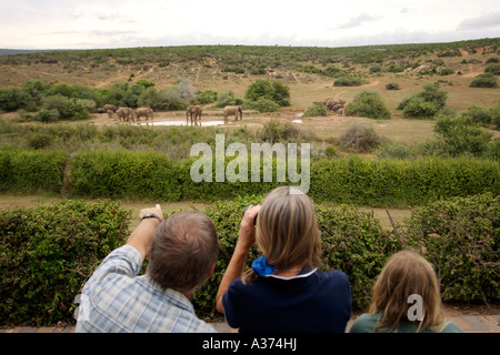 Touristen, die Elefanten an einem Wasserloch im Addo Elephant National Park in Südafrika Eastern Cape Provinz beobachten. Stockfoto