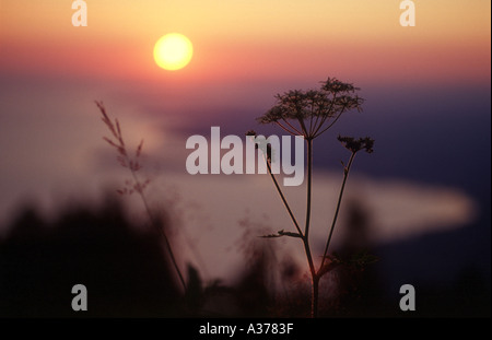 Sonnenuntergang über dem Bodensee (Bodensee) Bregenz Pfänder Mountain Vorarlberg Österreich Stockfoto