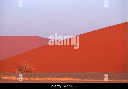Düne 45 Sesriem Namib Naukluft Park Namibia 2000 Stockfoto
