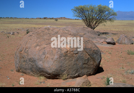 Desert Rock und Baum Namibia 2000 Stockfoto