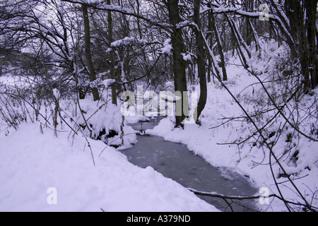 Gefrorener Bach schlängelt sich durch einen verschneiten Wald in Tschechien. Stockfoto