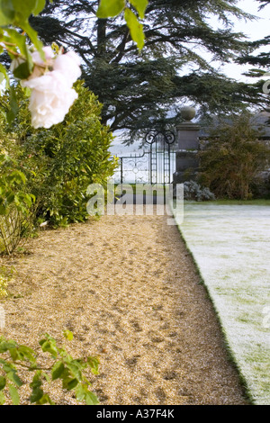 Blick auf ein Tor und frostigen Rasen durch englische Rosen im winter Stockfoto