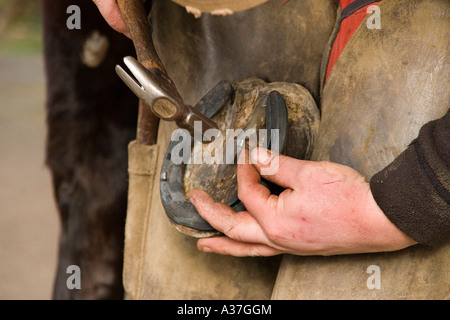 Nagel treffen in neu eingesetzte Pferde Schuh Stockfoto