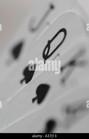 Spielkarten Aces Deuces Kings Queens Joker Tens Neunen achten Sevens sechs fünf Vieren drei zwei einen geraden F Stockfoto