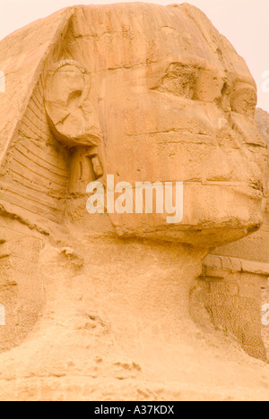 Gizeh der großen Sphinx Gestalt des Königs Chephren Gesicht Plateau im Hochformat Kairo-Ägypten-Nordafrika Stockfoto