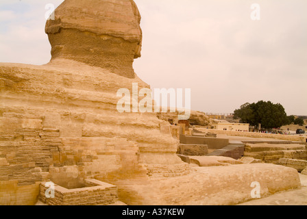 Der großen Sphinx Gestalt des Königs Chephren Gizeh plateau Rückseite Blick Kairo-Ägypten-Nordafrika Stockfoto