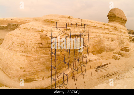 Der großen Sphinx Gestalt des Königs Chephren Gizeh plateau Rückseite Blick Kairo-Ägypten-Nordafrika Stockfoto