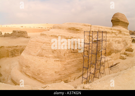 Der großen Sphinx Gestalt des Königs Chephren Gizeh plateau Rückseite Blick Kairo-Ägypten-Nordafrika Stockfoto