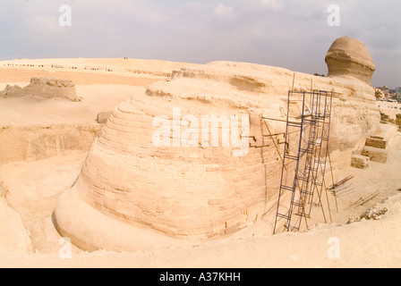 Der großen Sphinx Gestalt des Königs Chephren Gizeh plateau Rückseite Blick Kairo-Ägypten-Nordafrika Stockfoto