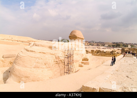 Der großen Sphinx Gestalt des Königs Chephren Gizeh plateau Rückseite Blick Kairo-Ägypten-Nordafrika Stockfoto