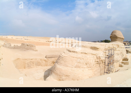 Der großen Sphinx Gestalt des Königs Chephren Gizeh plateau Rückseite Blick Kairo-Ägypten-Nordafrika Stockfoto