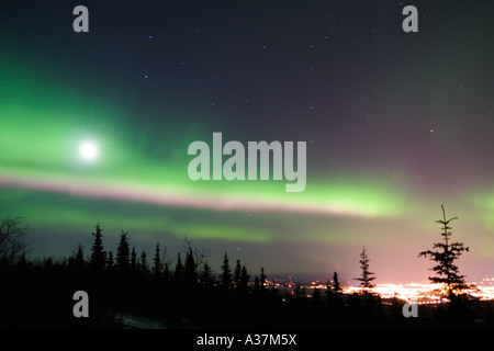 Aktive bunte Nordlicht am Himmel mit hellen Mond über Lichter von Fairbanks AK Stockfoto