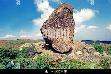 Großen Stein vom Berg Vitosha National Park in der Nähe von Sofia die Hauptstadt von Bulgarien Stockfoto