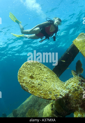 Frau Taucher durch Propeller Bimiti Wrack Bimini Bahamas Inseln Karibik Stockfoto