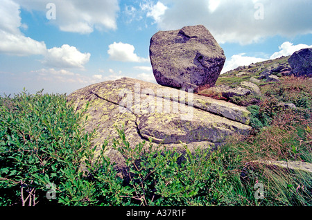 Großen Stein vom Berg Vitosha National Park in der Nähe von Sofia die Hauptstadt von Bulgarien Stockfoto