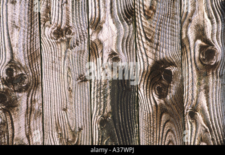 Textur verwitterten hölzerne Planken des Holzes auf der Schuppen zeigen Korn Jahresringe und Knoten und abstrakten Formen in Holz Stockfoto