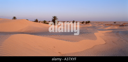 Sanddünen im Lichte der Einstellung Sonne, Douz, Sahara Wüste, Tunesien, Nordafrika Stockfoto