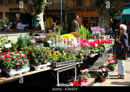 Der Blumenmarkt vor dem Rathaus, Aix-En-Provence, Frankreich. Stockfoto