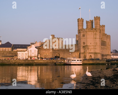 CAERNARFON CASTLE 1295 erbaut von Edward 1. Caernarfon Gwynedd North Wales UK Stockfoto