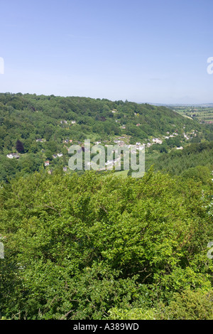 Blick von Symonds Yat in Wald des Dekans, Gloucestershire Stockfoto