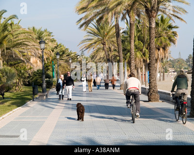 Palmengesäumten Promenade von San Pedro de Alcantara Andalusien Spanien im Winter Nachmittags Sonne Stockfoto