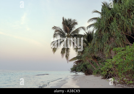 Tropische Insel Strand Stockfoto