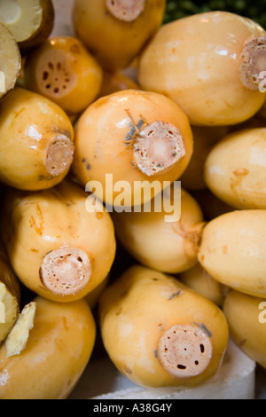 Lotuswurzel an einem Straßenstand in Causeway Bay, Hong Kong Stockfoto