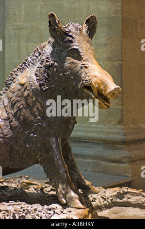 Ein Blick auf "Il Porcellino" eine große Bronzestatue von einem Wildschwein auf der Südseite des Mercato Nuovo "Neuer Markt". Stockfoto