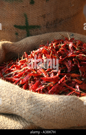 Chili zum Verkauf in der Gewürzmarkt von Chandni Chowk, Alt-Delhi, Indien Stockfoto