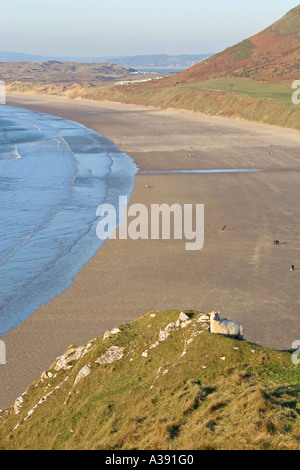 Ein hoch auf rührende Rhossili Bucht, tiefen und Strand an der schönen Küste von Gower, Wales UK GB ikonischen Schaf Stockfoto
