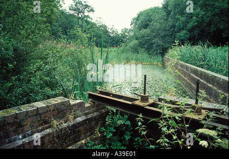 Restaurierte Pools durch einen Kanal Withnell Falten Lancashire Stockfoto