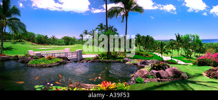 Wailea, Gold-Kurs, Golfplatz, grünen Rasen, Brücke, Teich, Wasser, Fisch, Lilien Ozean, Blumen, Pflanzen, Palmen Stockfoto