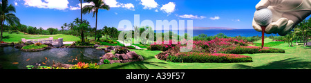 Wailea Gold Golfplatz Maui Hawaii Panorama Stockfoto