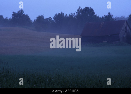 Scheune in Feld mit frühen Morgennebel Stockfoto