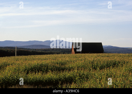 Landwirtschaftliches Gebäude in offenen Wiese Stockfoto