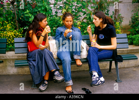 Franzosen, junge Frauen, Freunde, Studenten, Essen, trinken, sitzen, Parkbank, Paris, Ile de France, Frankreich, Europa Stockfoto
