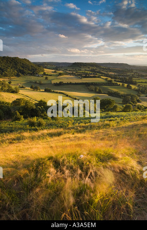 Blick in Richtung Cam lange nach unten vom Coaley Peak auf der Cotswold Weise Gloucestershire Stockfoto
