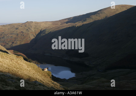 Der Leiter der Haweswater von Mardale Ill Glocke, High Street Reihe, Lake District, Cumbria Stockfoto