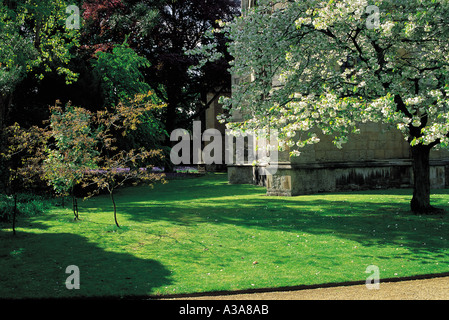 Wadham College in Oxford Garden und hall Stockfoto