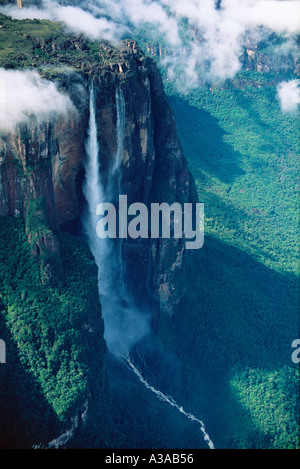 Der höchste Wasserfall der Welt, 979 m, im Canaima-Nationalpark, Auyantepui-Tafelberg, Venezuela Stockfoto