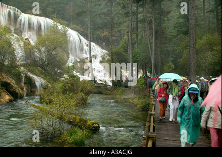 Touristen besuchen Pearl Shoal Wasserfall im Regen, Jiuzhaigou, UNESCO Wold Heritage Site. Stockfoto