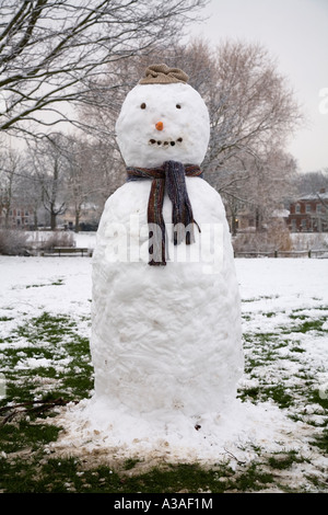 Schneemann auf Schinken gemeinsame Surrey UK Stockfoto